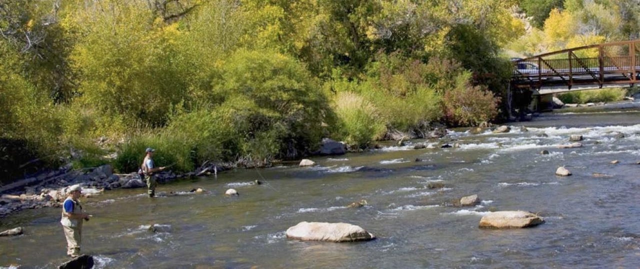 82329 Untitled Design10