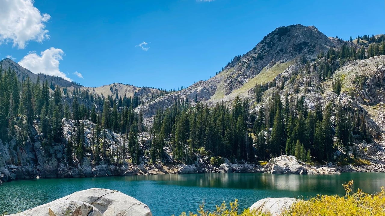 85881 Untitled Design14