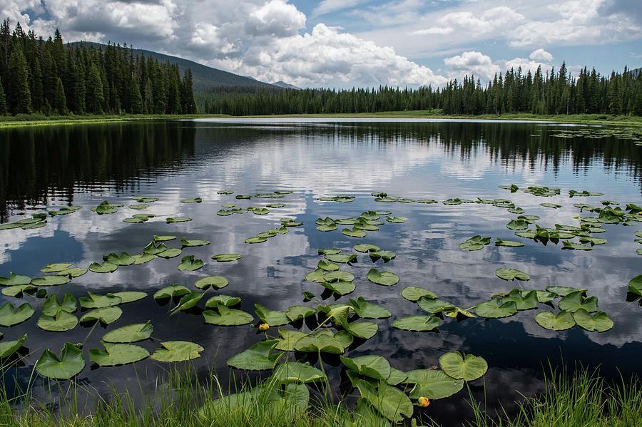 Lily Pad Lake CO