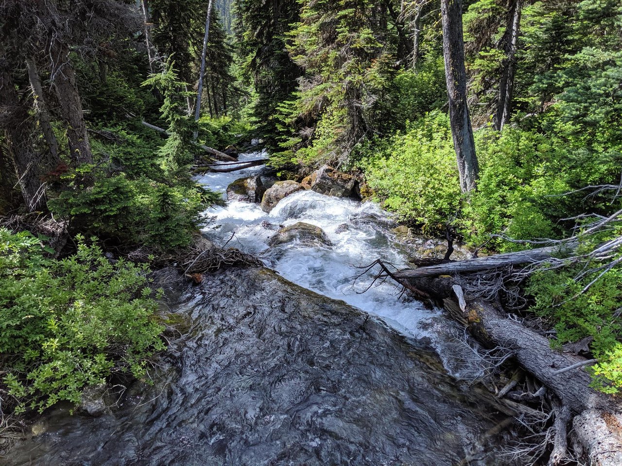 Soda Creek Trail