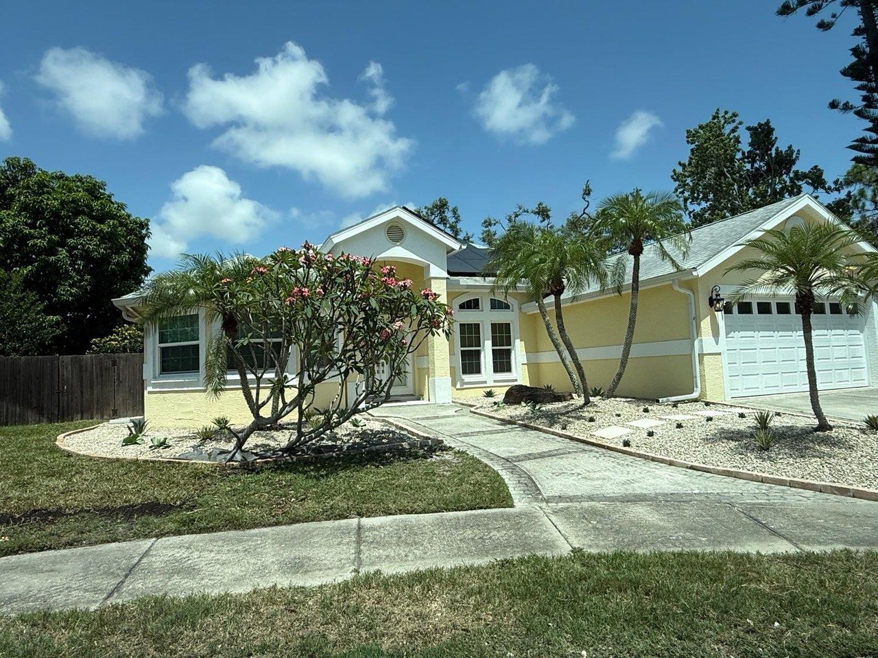 Casa Mango  Front yard