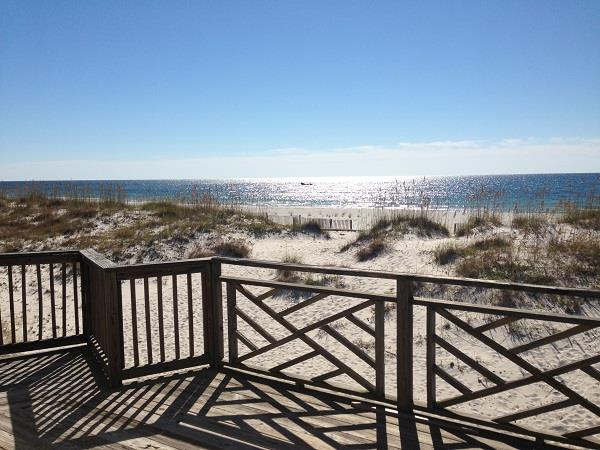 Birdcage  Pet Friendly 1