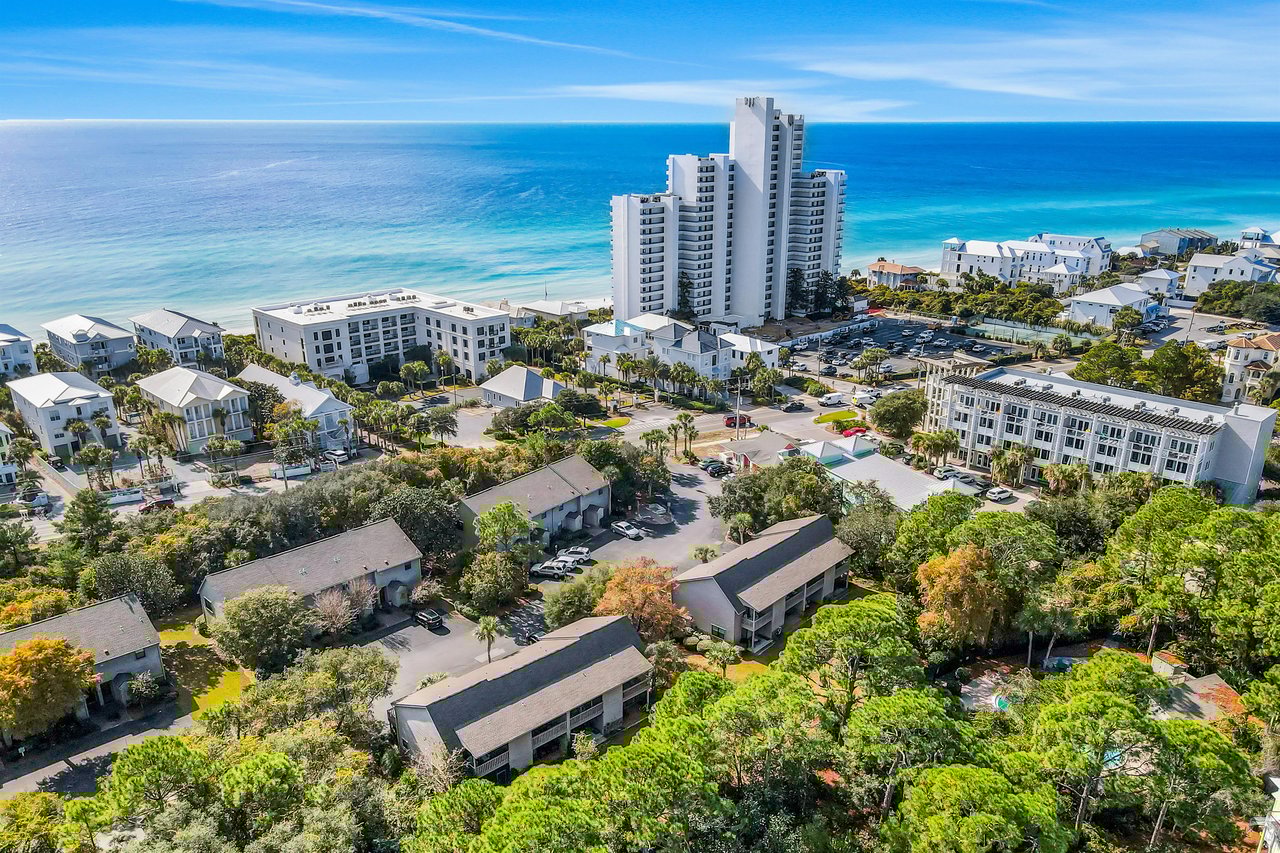 Somewhere in the Sun 3