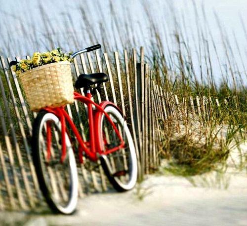 Beach Rentals at Seacrest Beach North in Highway 30A Florida