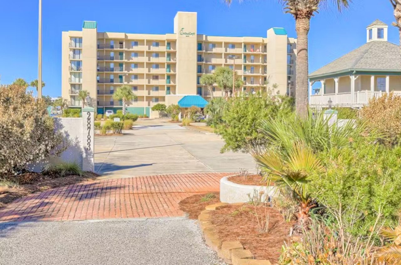 472935 Wind Drift  1272 0 20241 1802