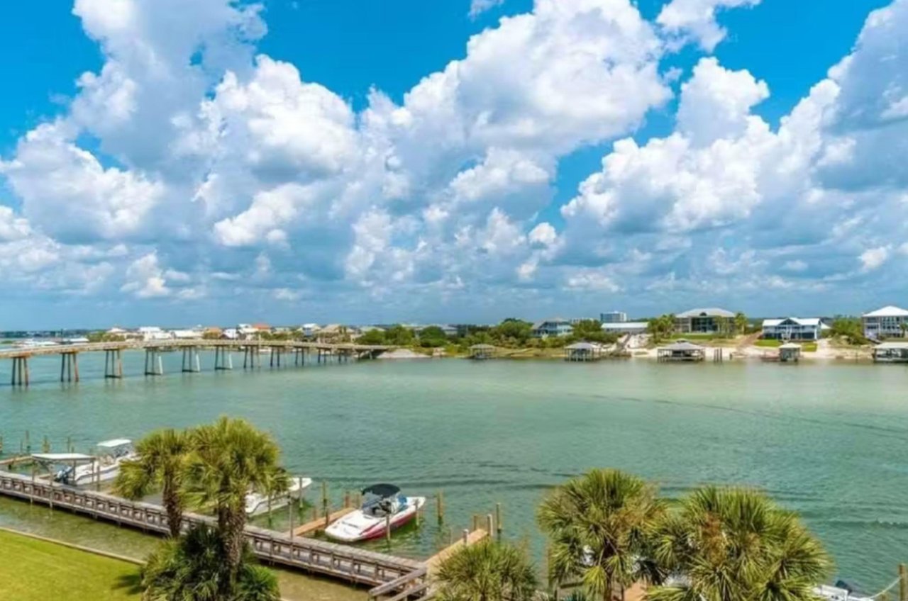 472938 Wind Drift  1272 0 20241 1805