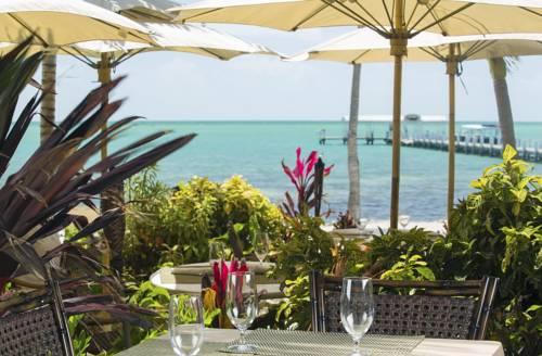 Cheeca Lodge  Spa in Islamorada FL 11
