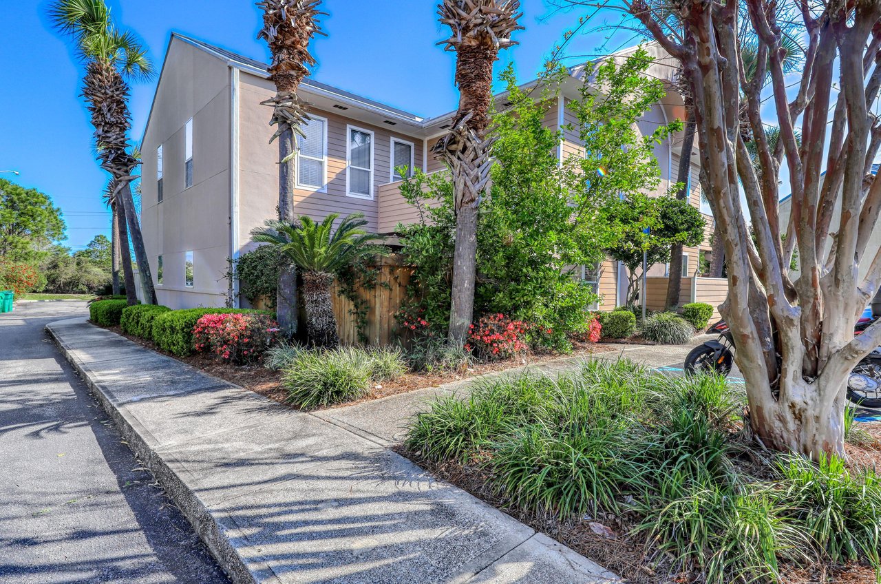 The propertys palm trees and tropical plants are abundant across the property.
