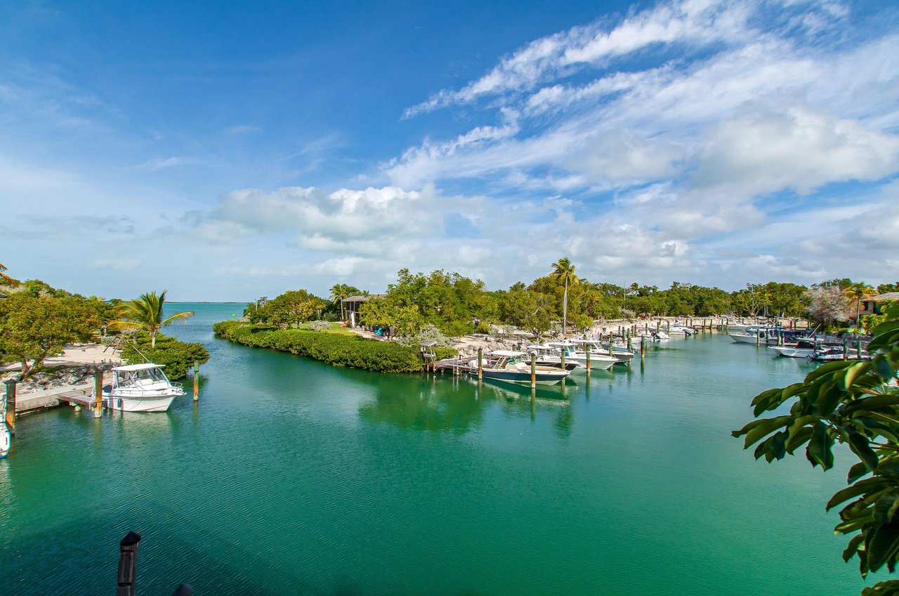 Picturesque Key Largo.