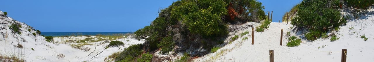 479339 Area_capesanblas