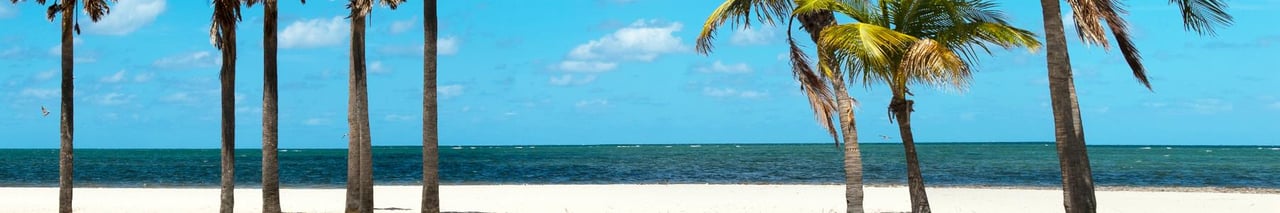 479343 Area_islamorada