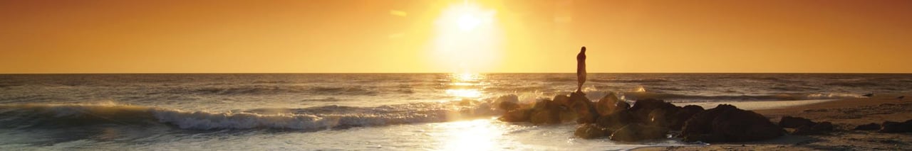 479354 Area_sarasota