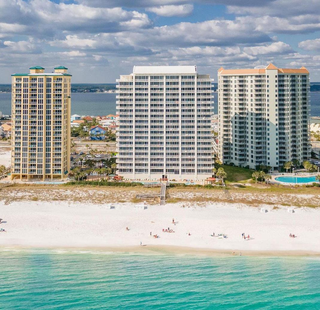 The Pearl of Navarre 702 NEW 2