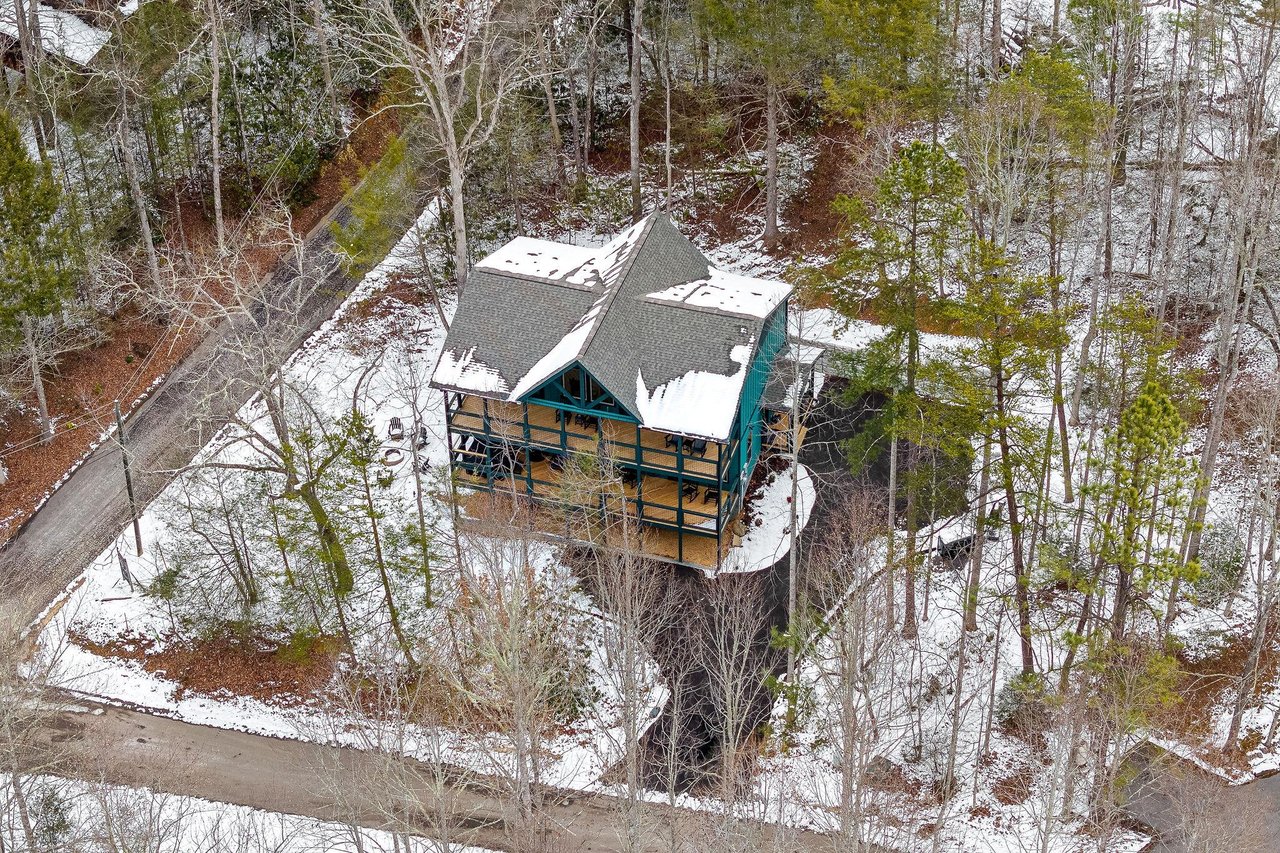 THE SPIRIT BEAR LODGE