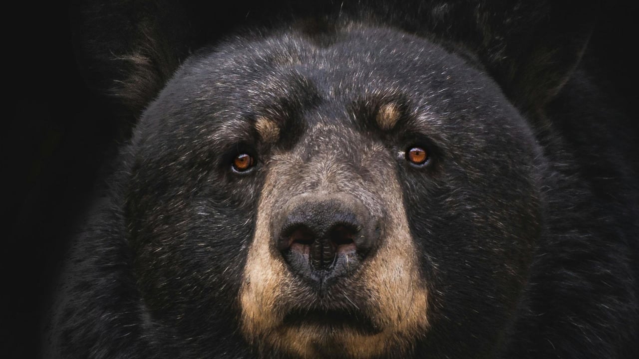 Photo Credit Mark Oliver Jodoin, Unsplash