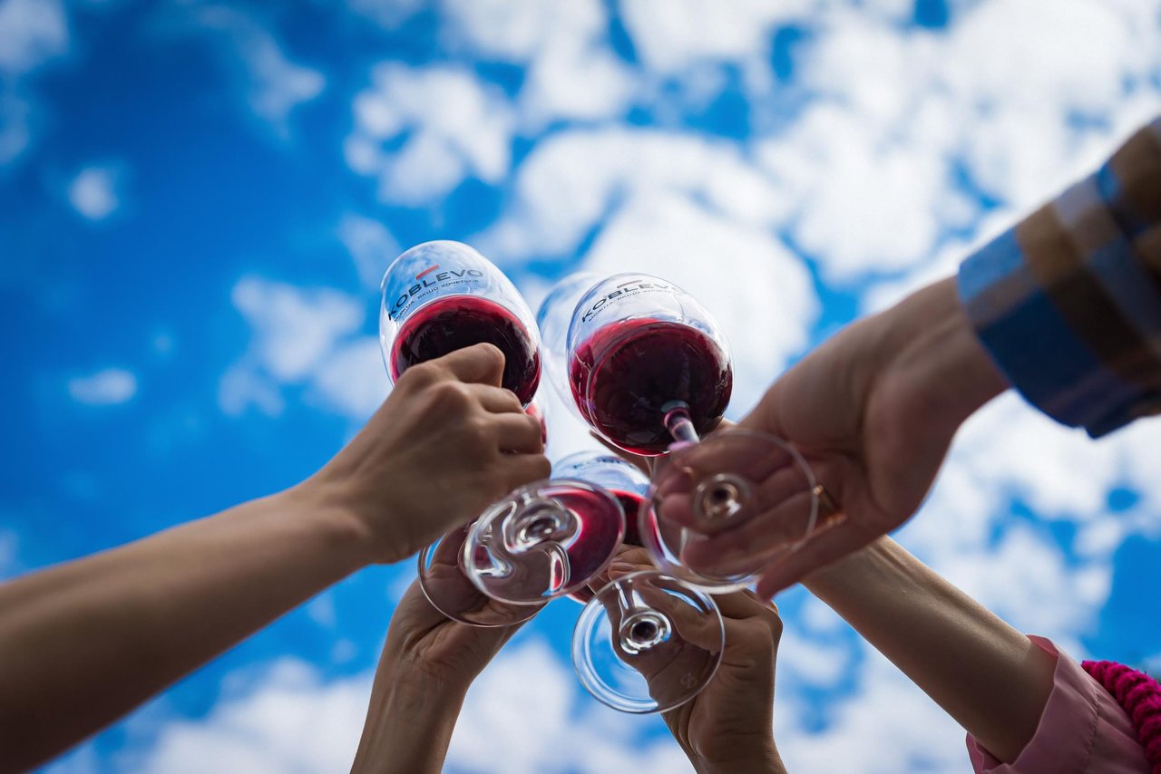 17336 Wine Festivals