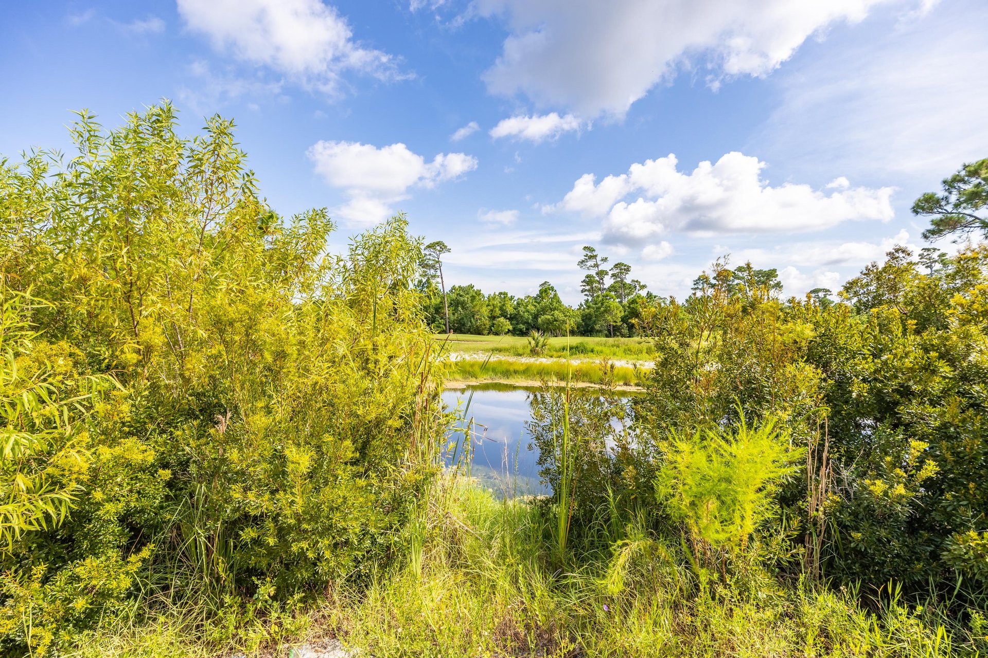 Is this what you call a waterfront view 
