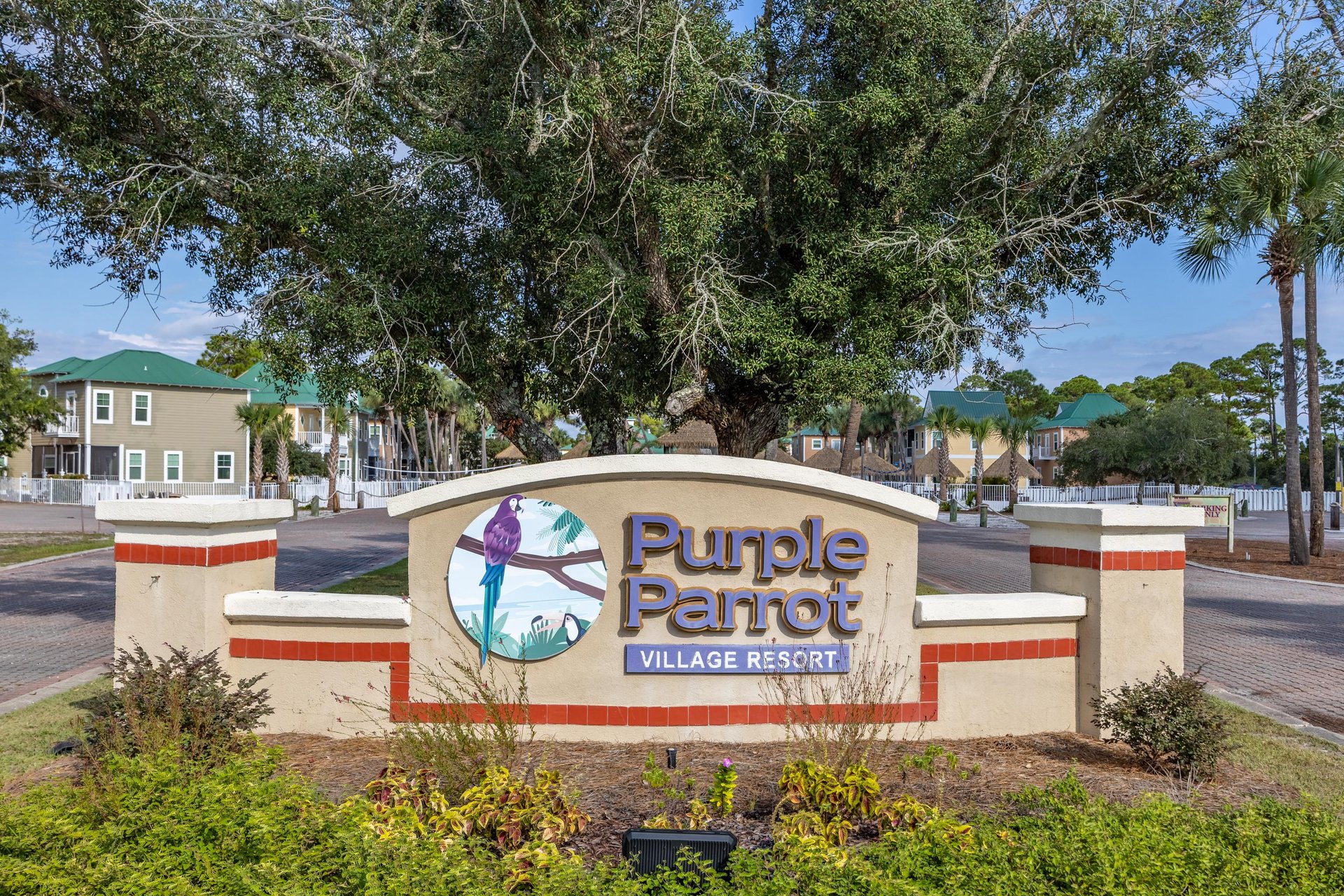 Welcome to the one and only Purple Parrot