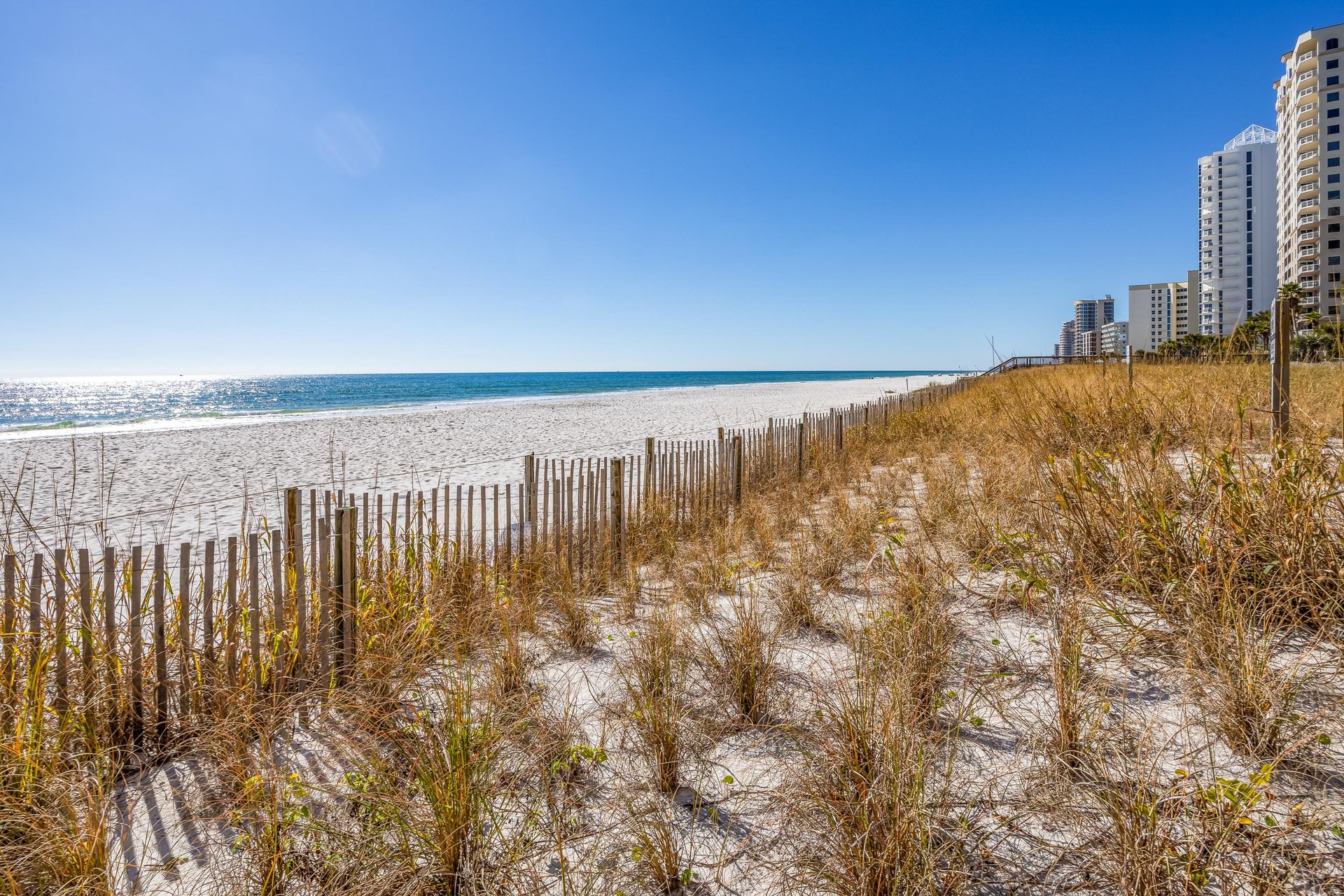 Seaside Sanctuary Beach Colony39s Beachfront Condo Invites T
