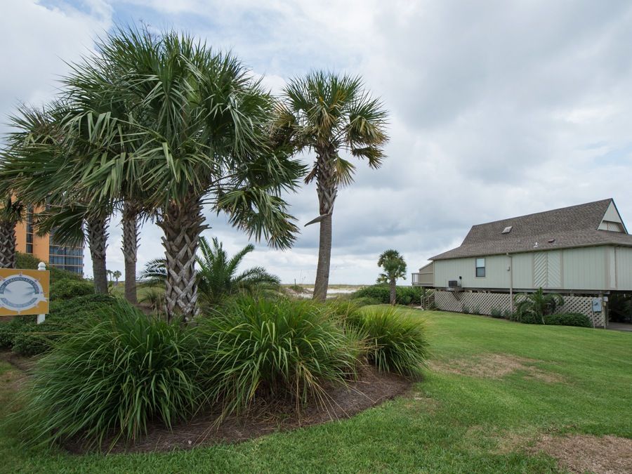 Molokai Perdido Key condos on the beachside