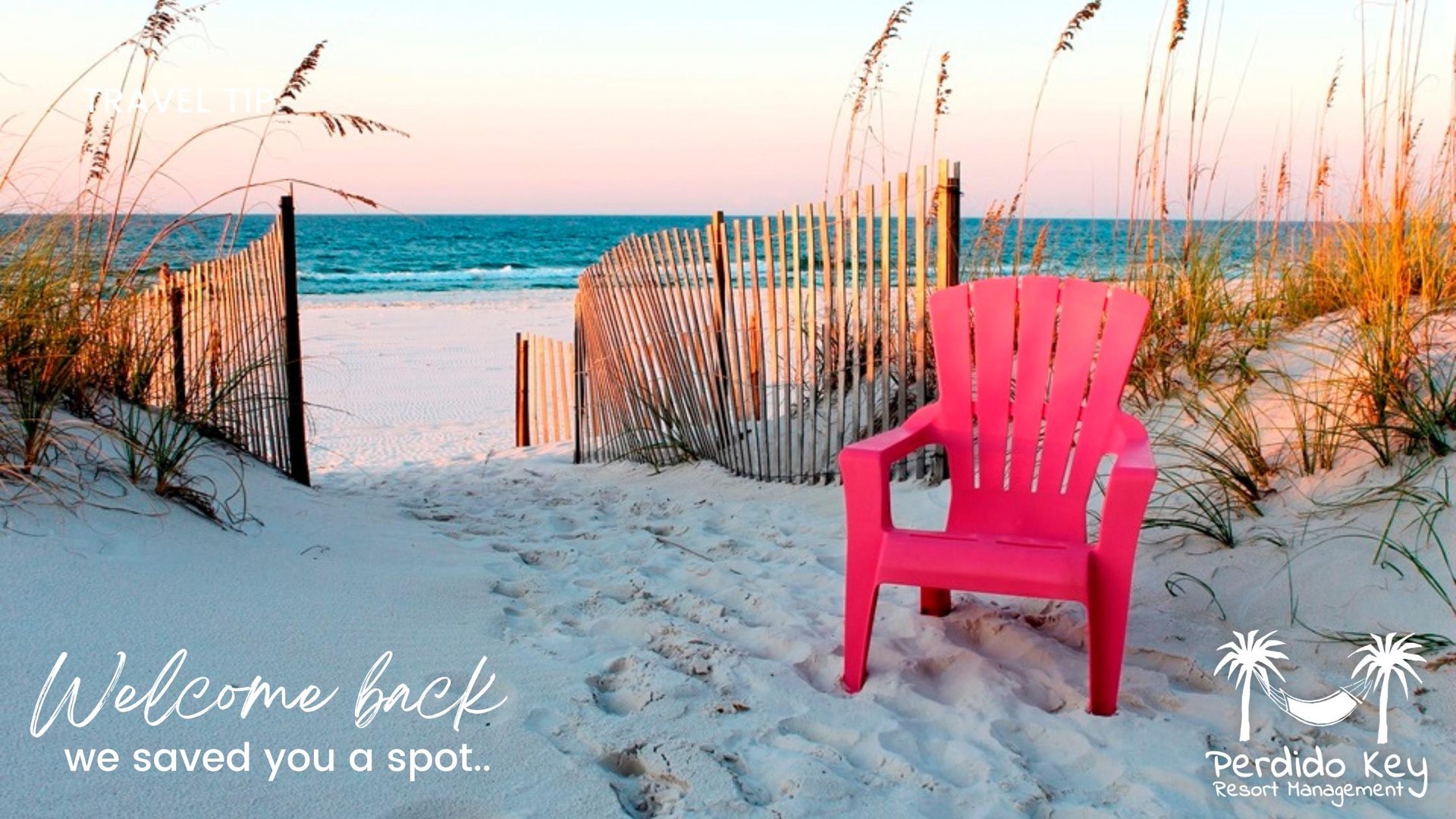 Blog Header Repeat Guest Promo