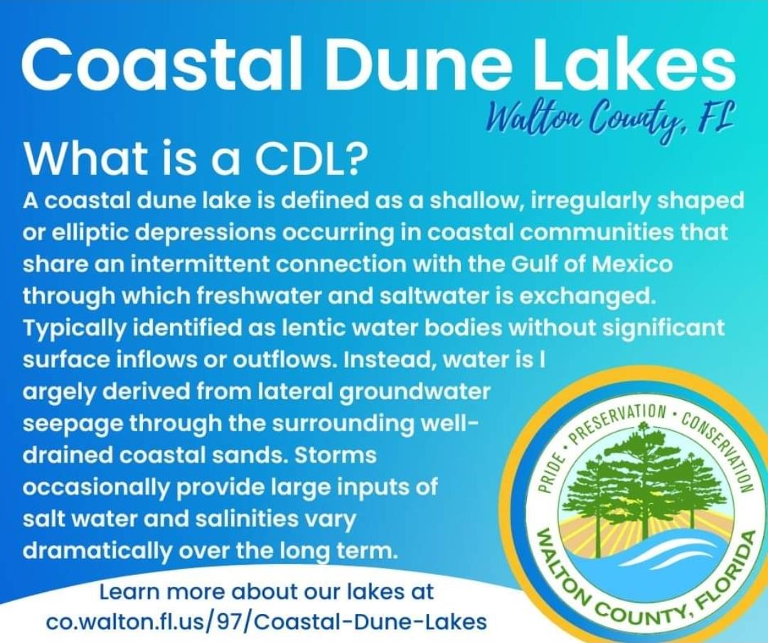 Coastal Dune Lake Info