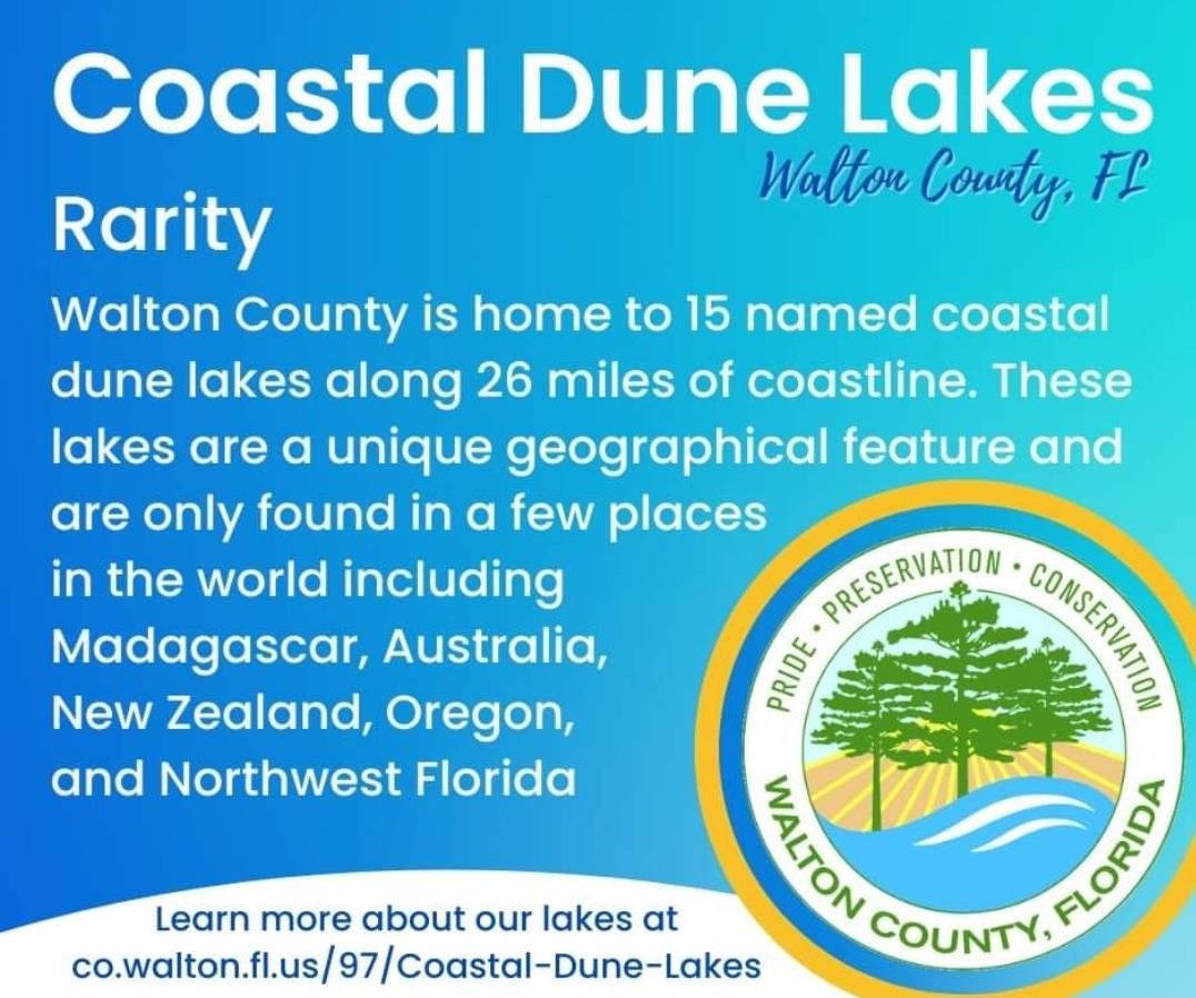 Coastal Dune Lake Info