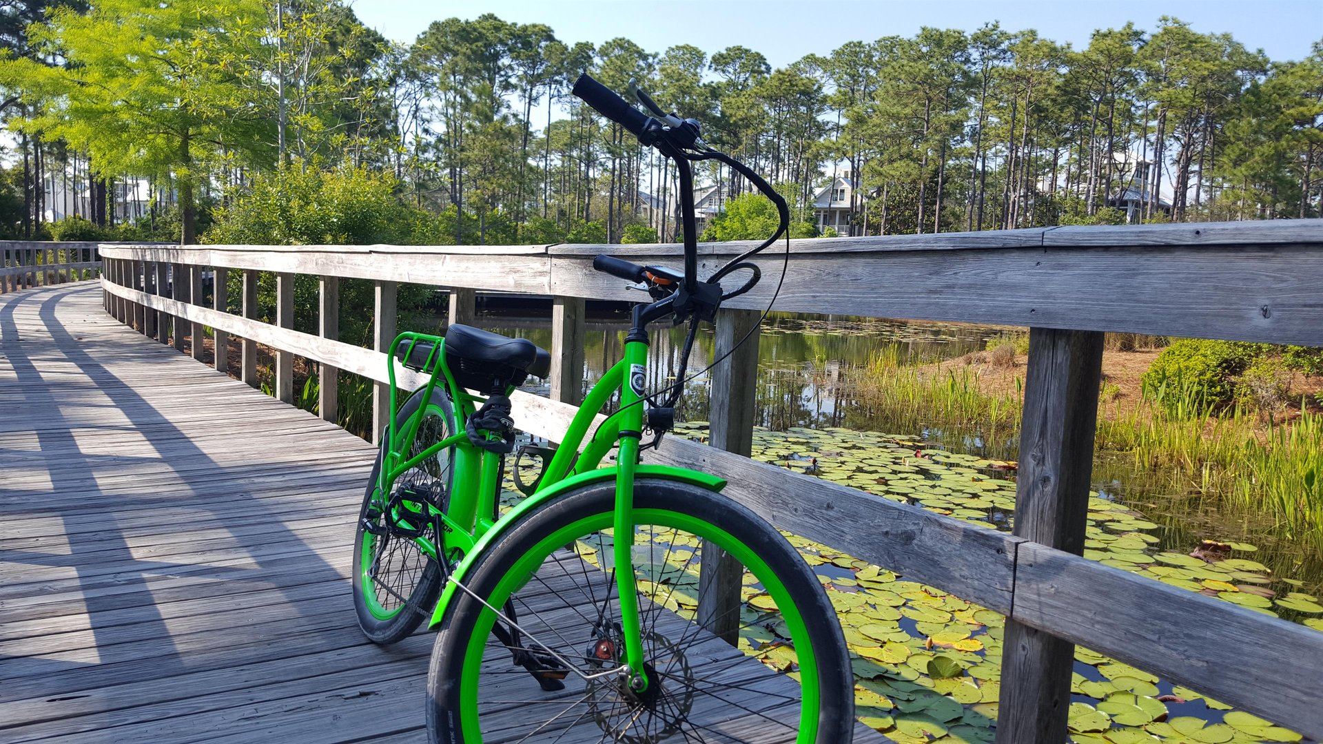 Pedego 30A  WaterColor