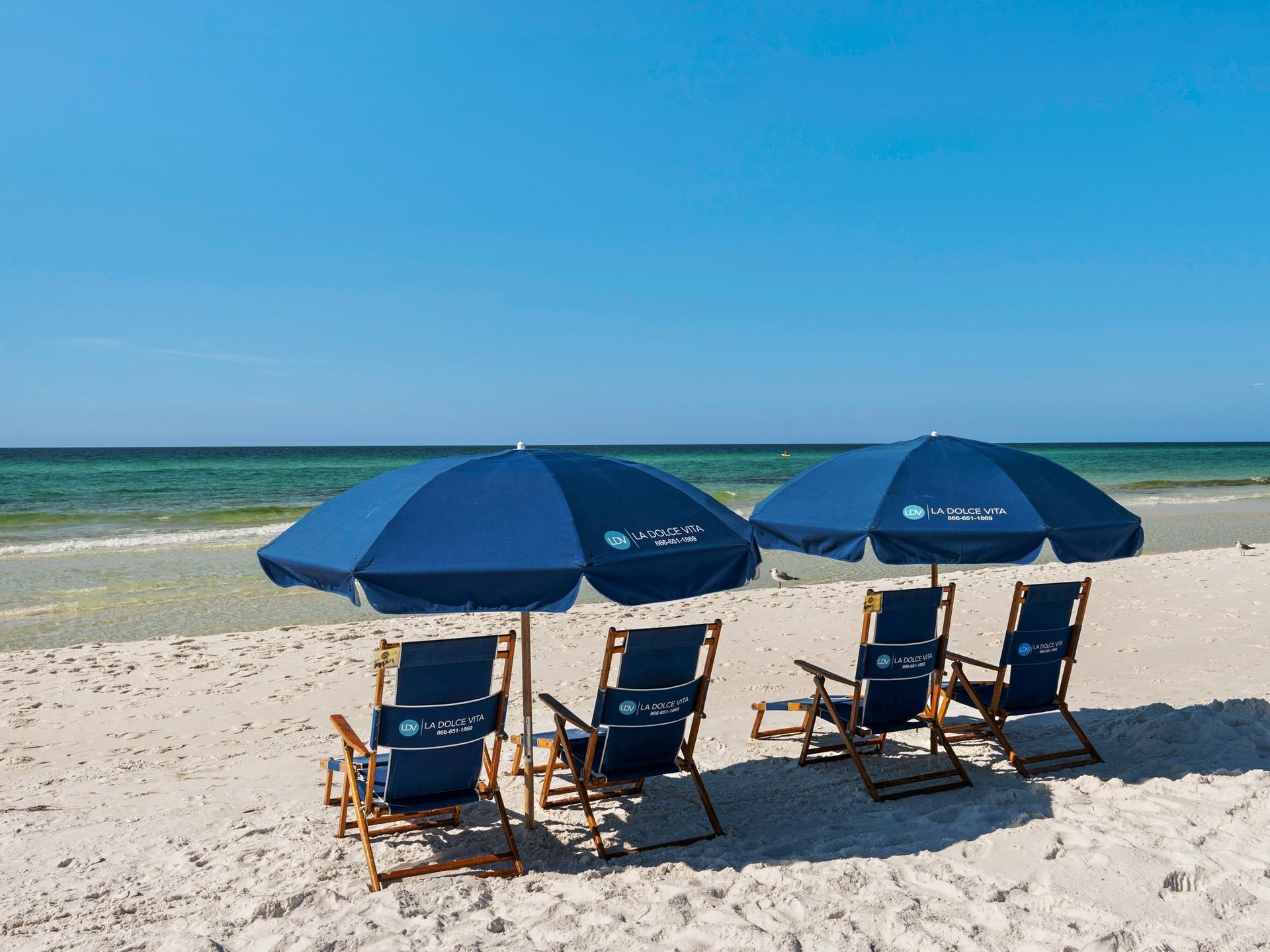 2 Set of Seasonal Beach Service Provided