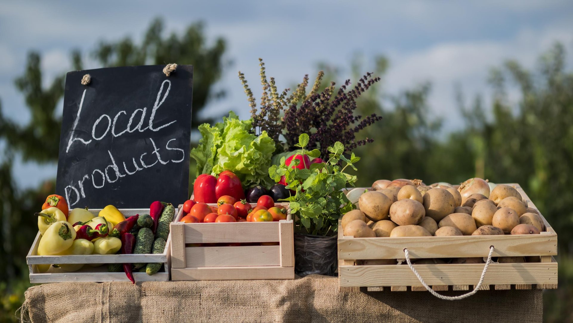 Local Farmers Market Local Farmers Market