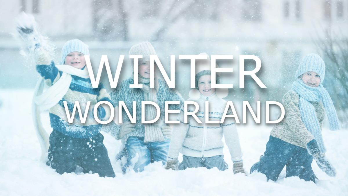 Winter Wonderland Winter Wonderland