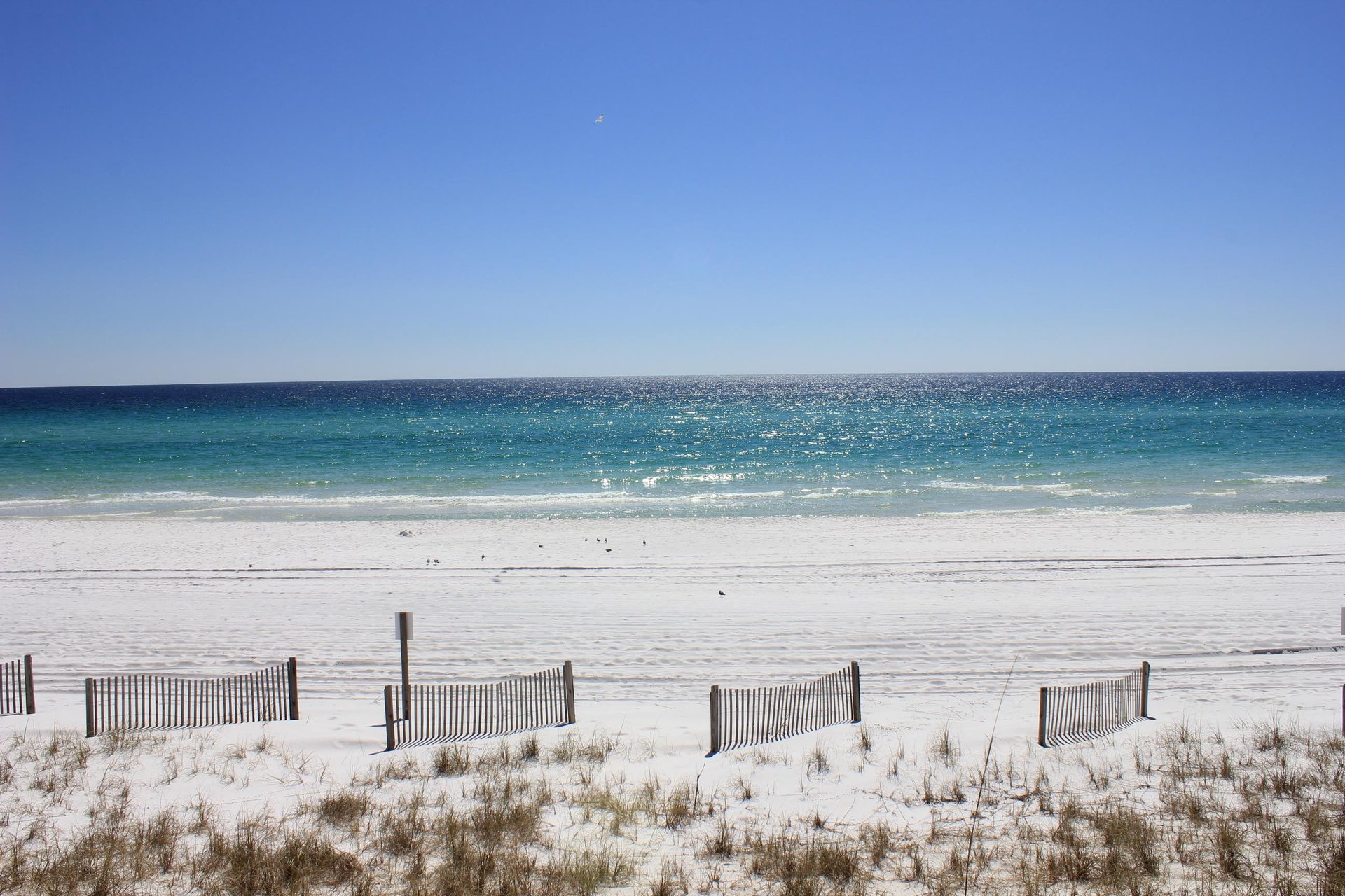 The Beach is Waiting For You