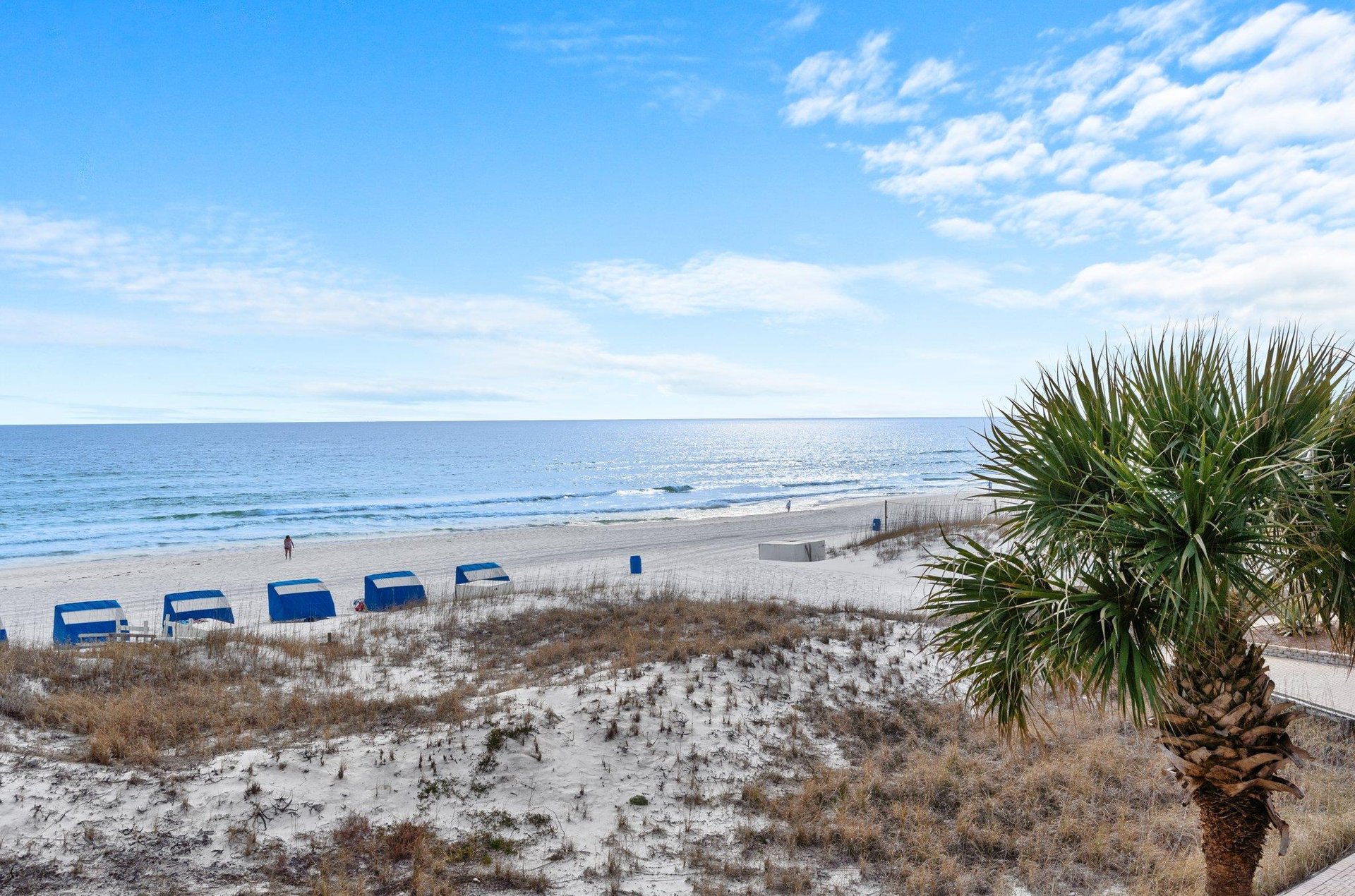 View from the Private Balcony