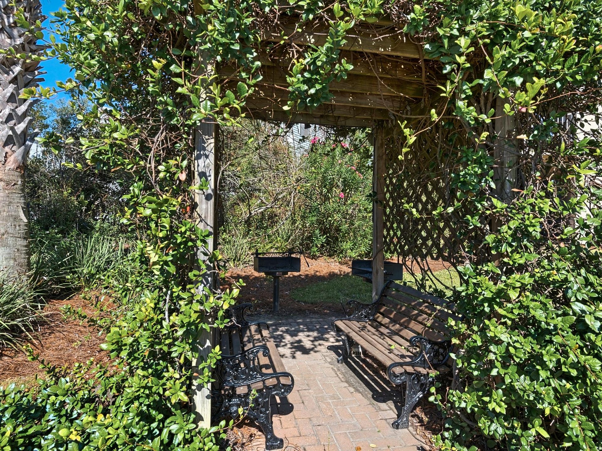 Complex Grilling Area