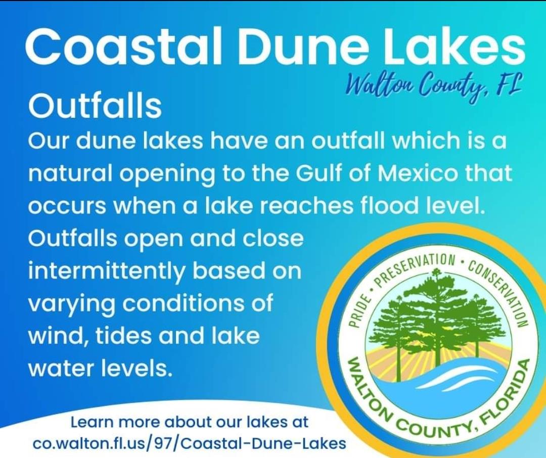 Coastal Dune Lake Info