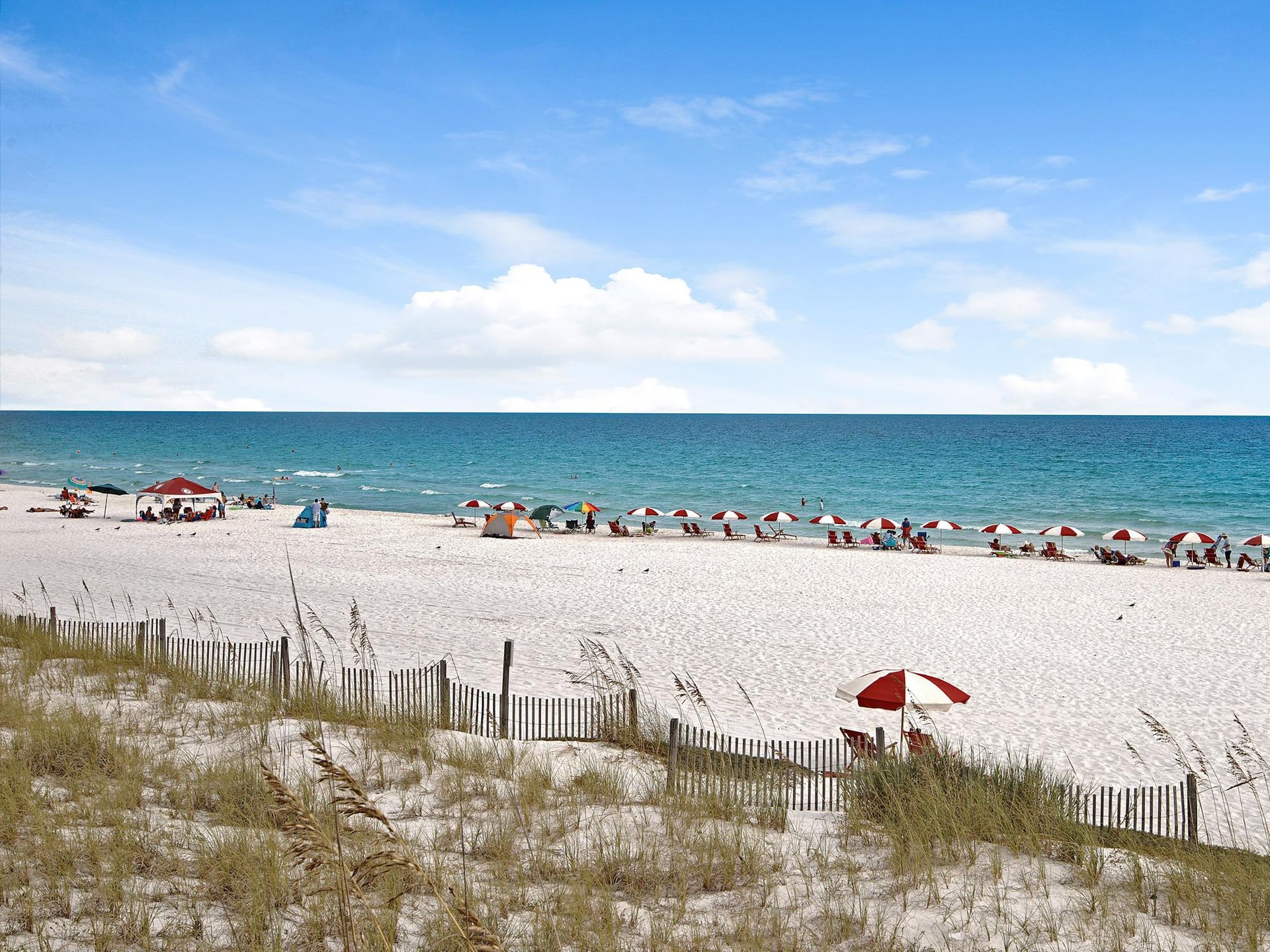 Right Across the Street From the Beach