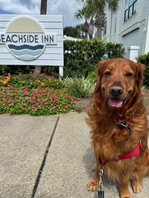 Watson  Arlington, Texas