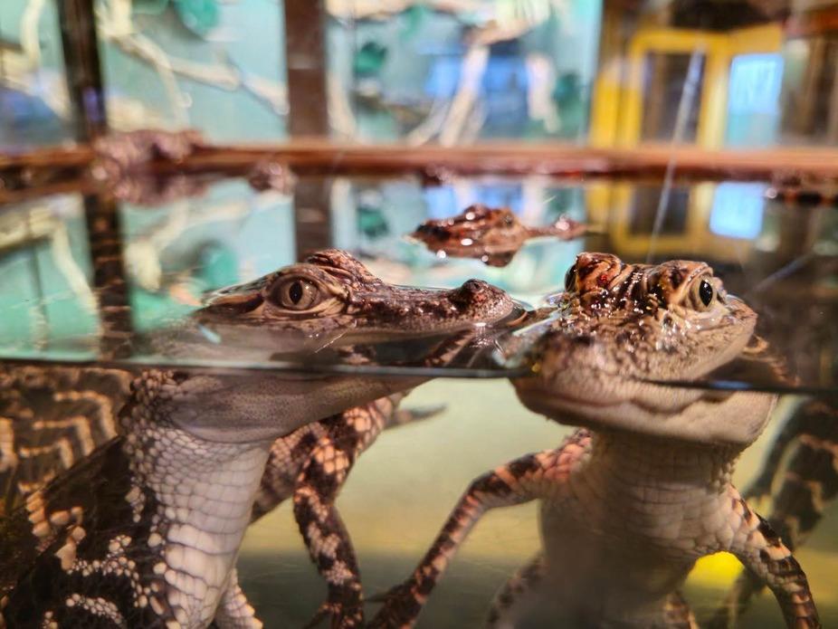 641510852_1358770209617515_7818604082502756677_n