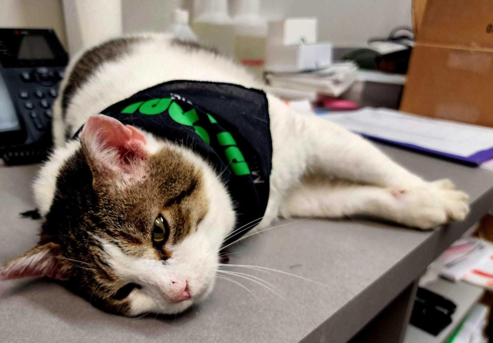 625812131_927074749830476_7819882349678814993_n