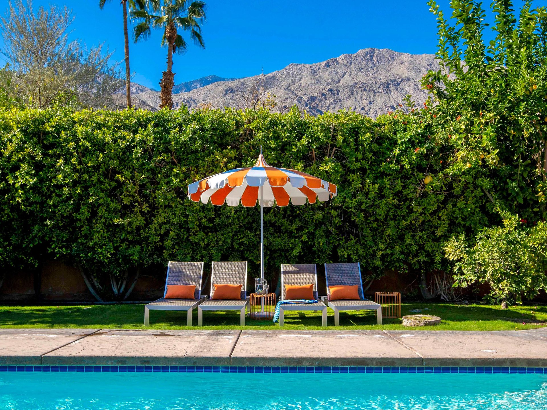 Welcome to The Clever Cactus