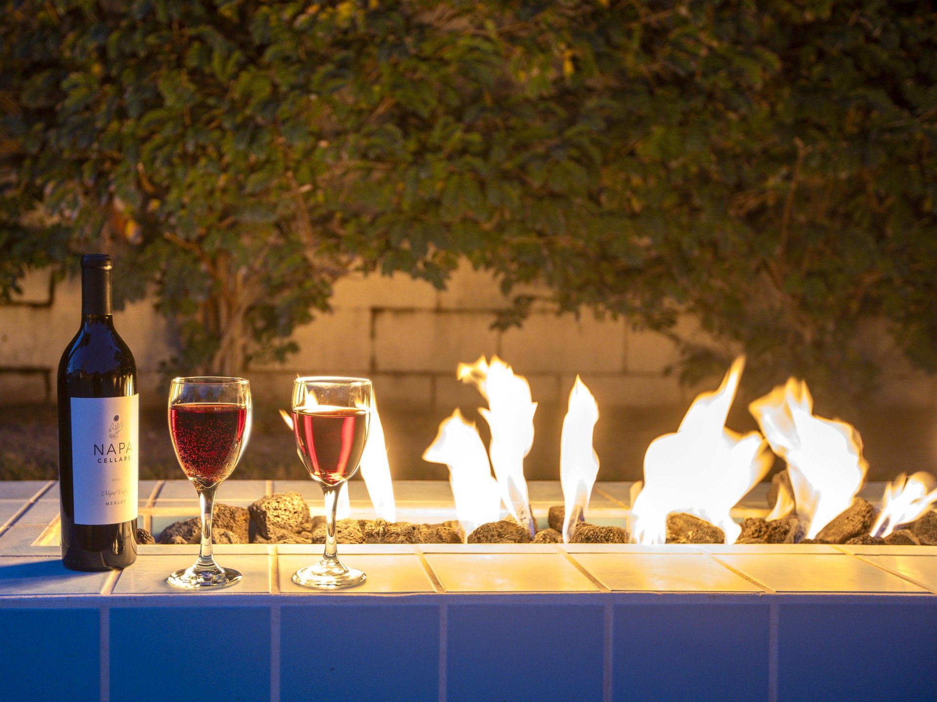 A Glass of Wine by the Fire