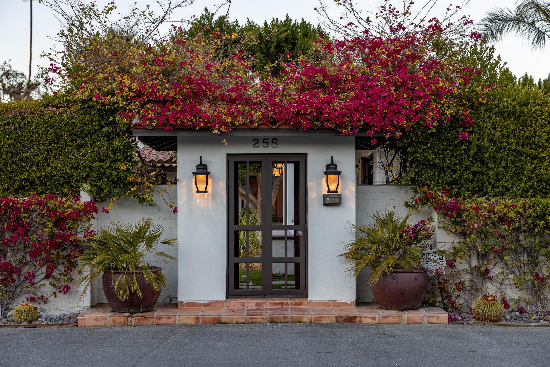 Welcome to Lola Vista