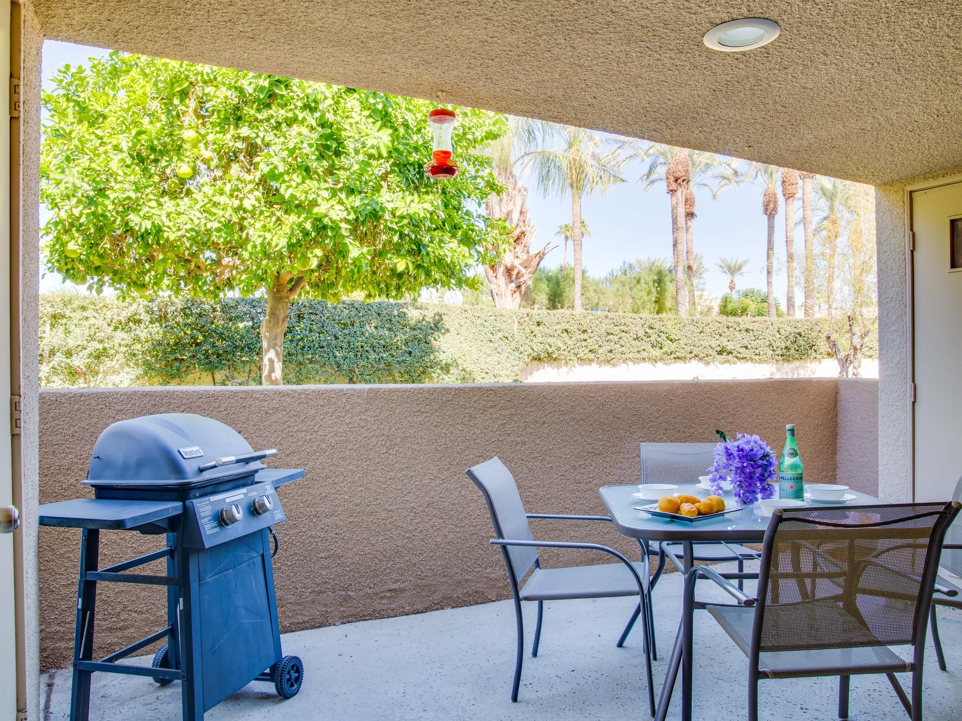 Beautiful Patio Views