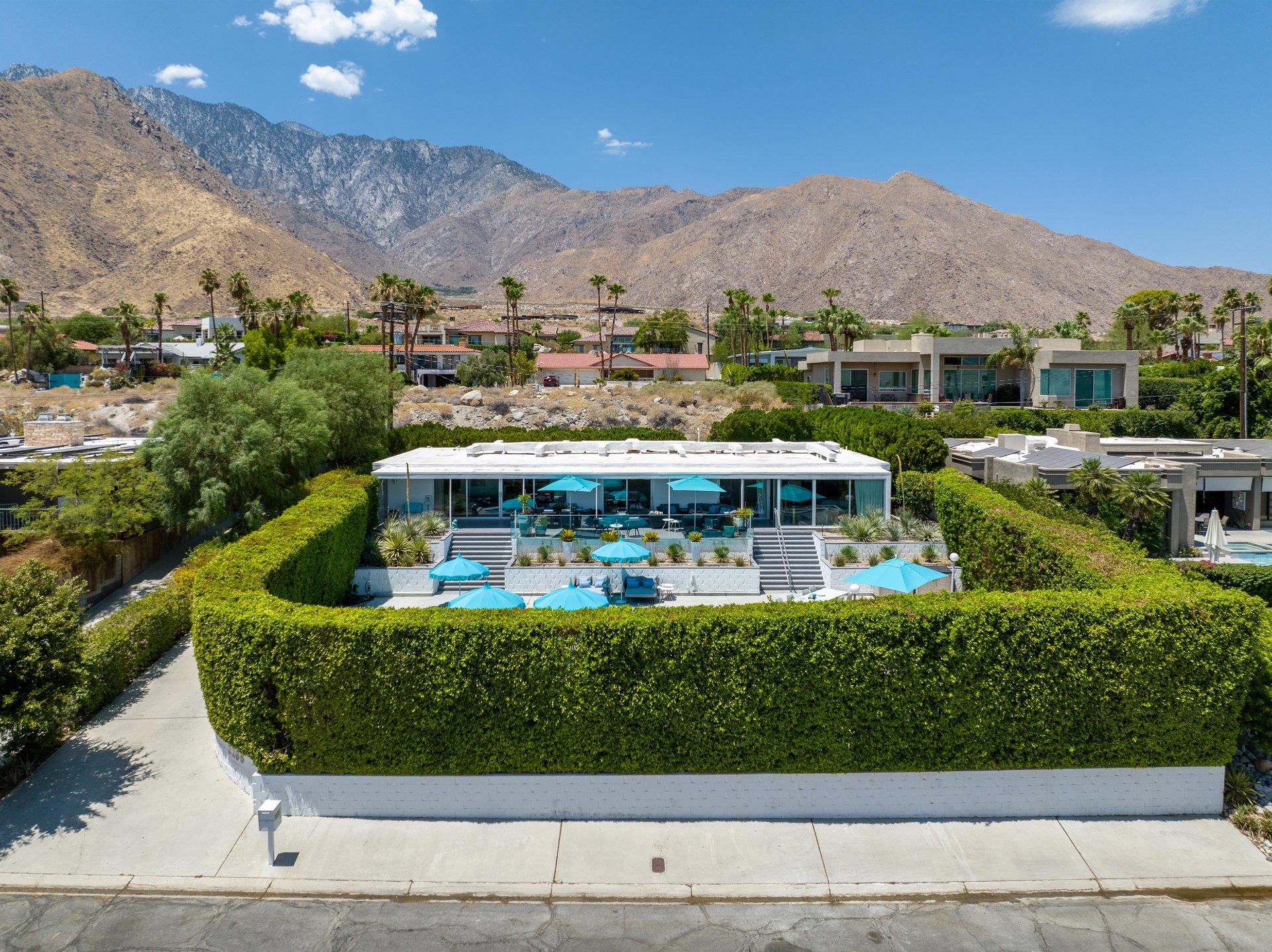 Tall Privacy Hedge Aerial View