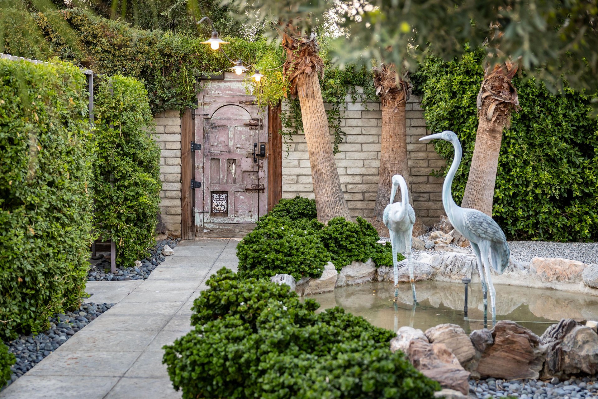 Enter the tranquil garden