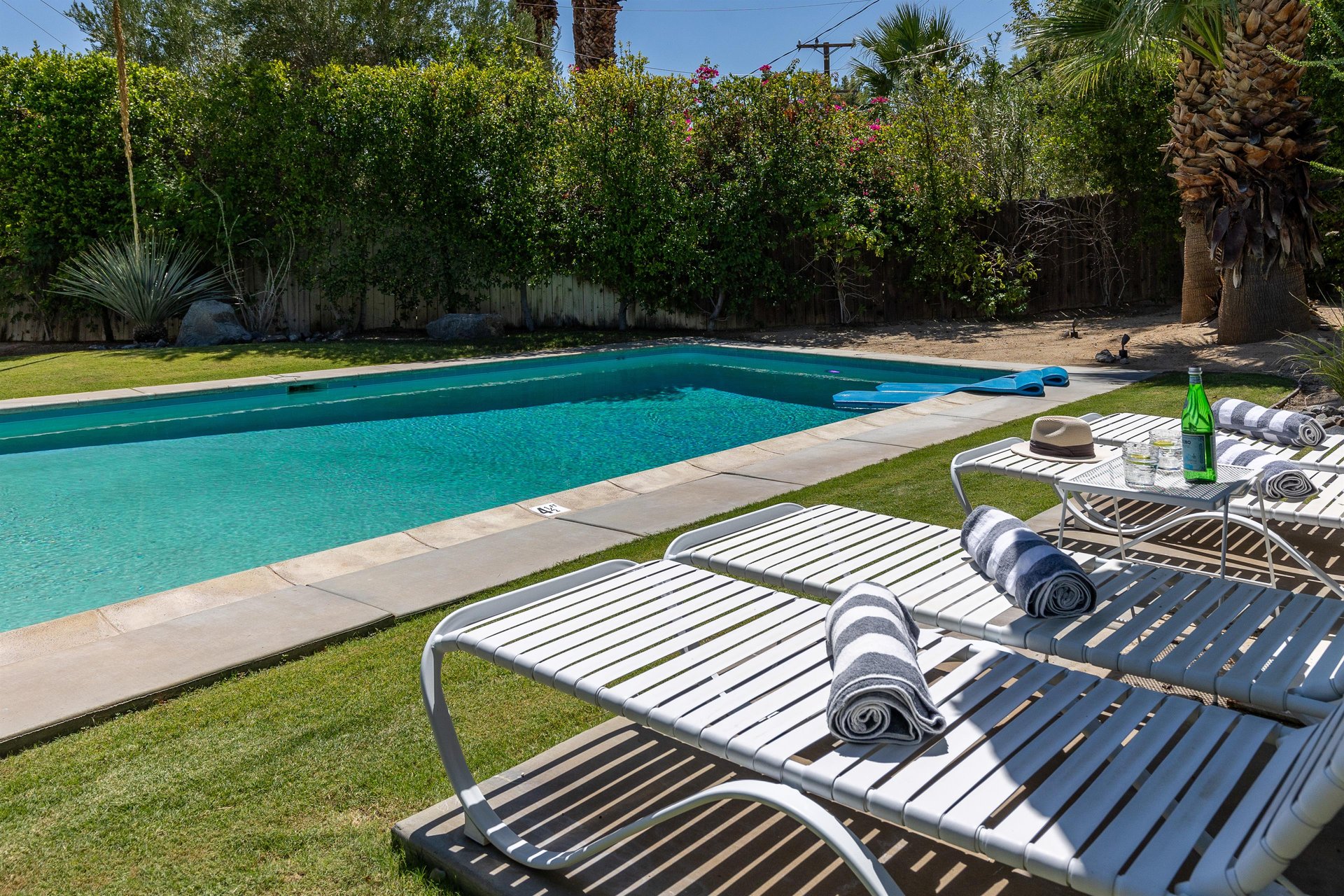 Tall private backyard hedges