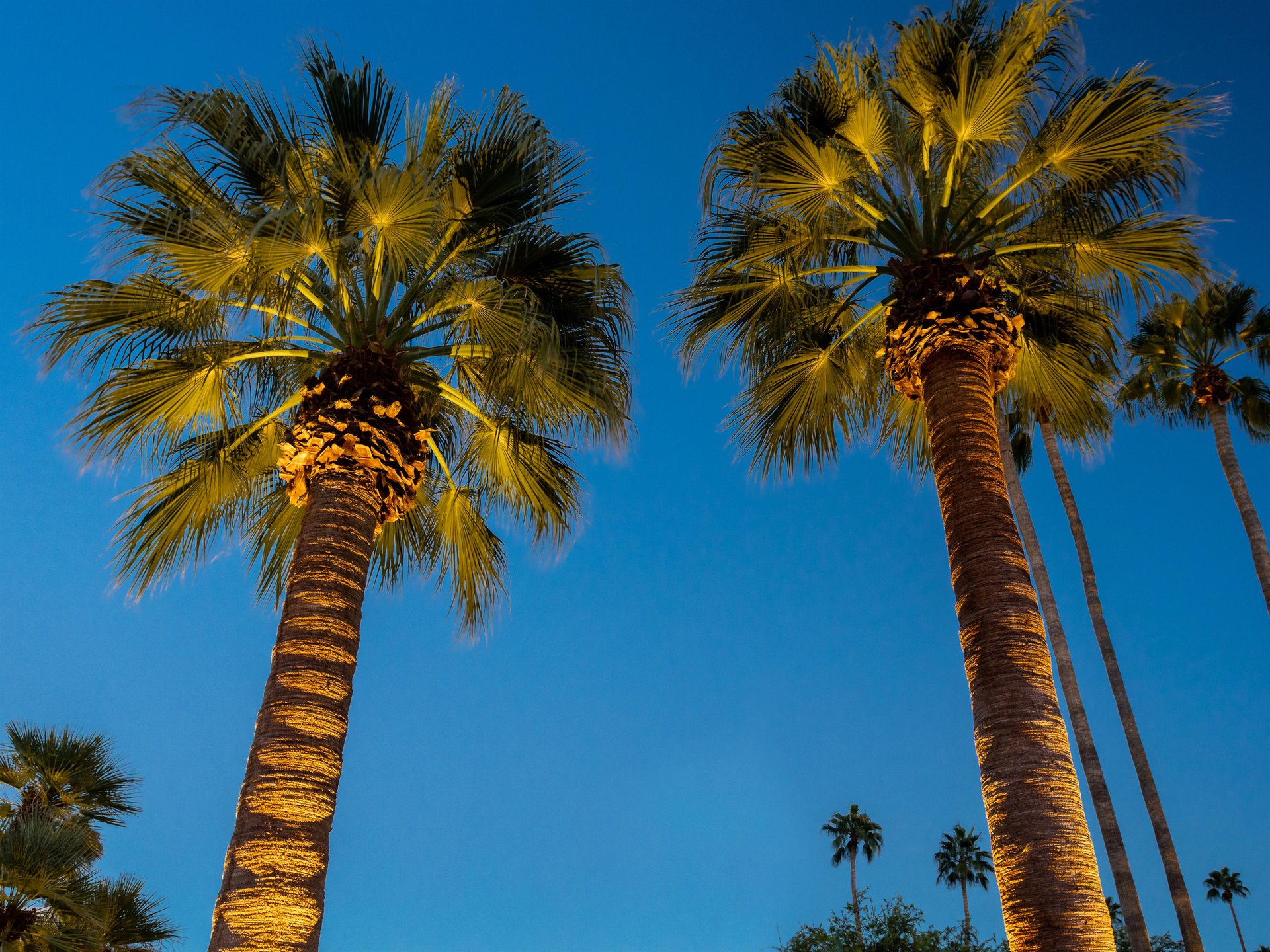 Palm Springs evening skies