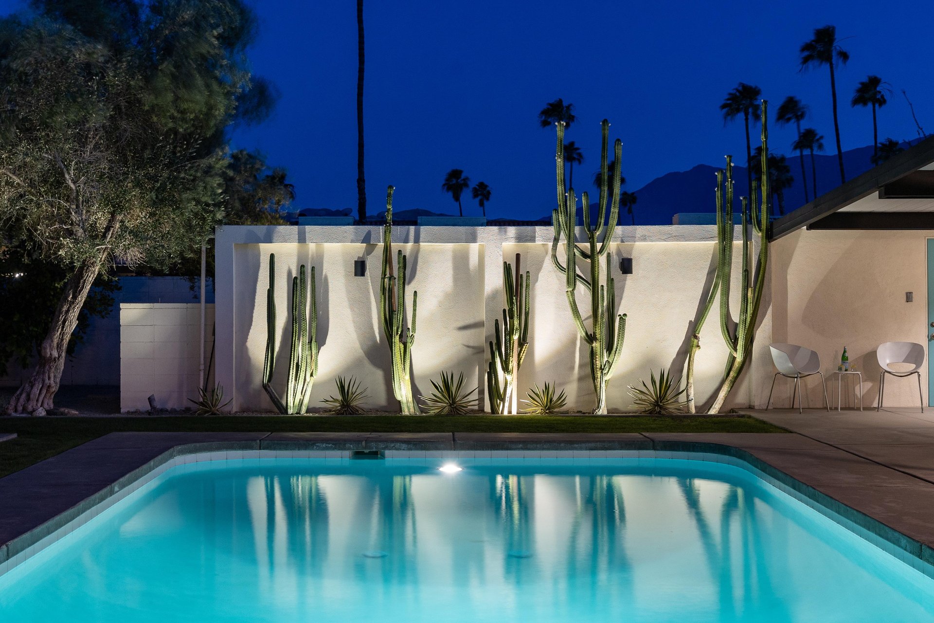 Gorgeous backlit cactus landscaping