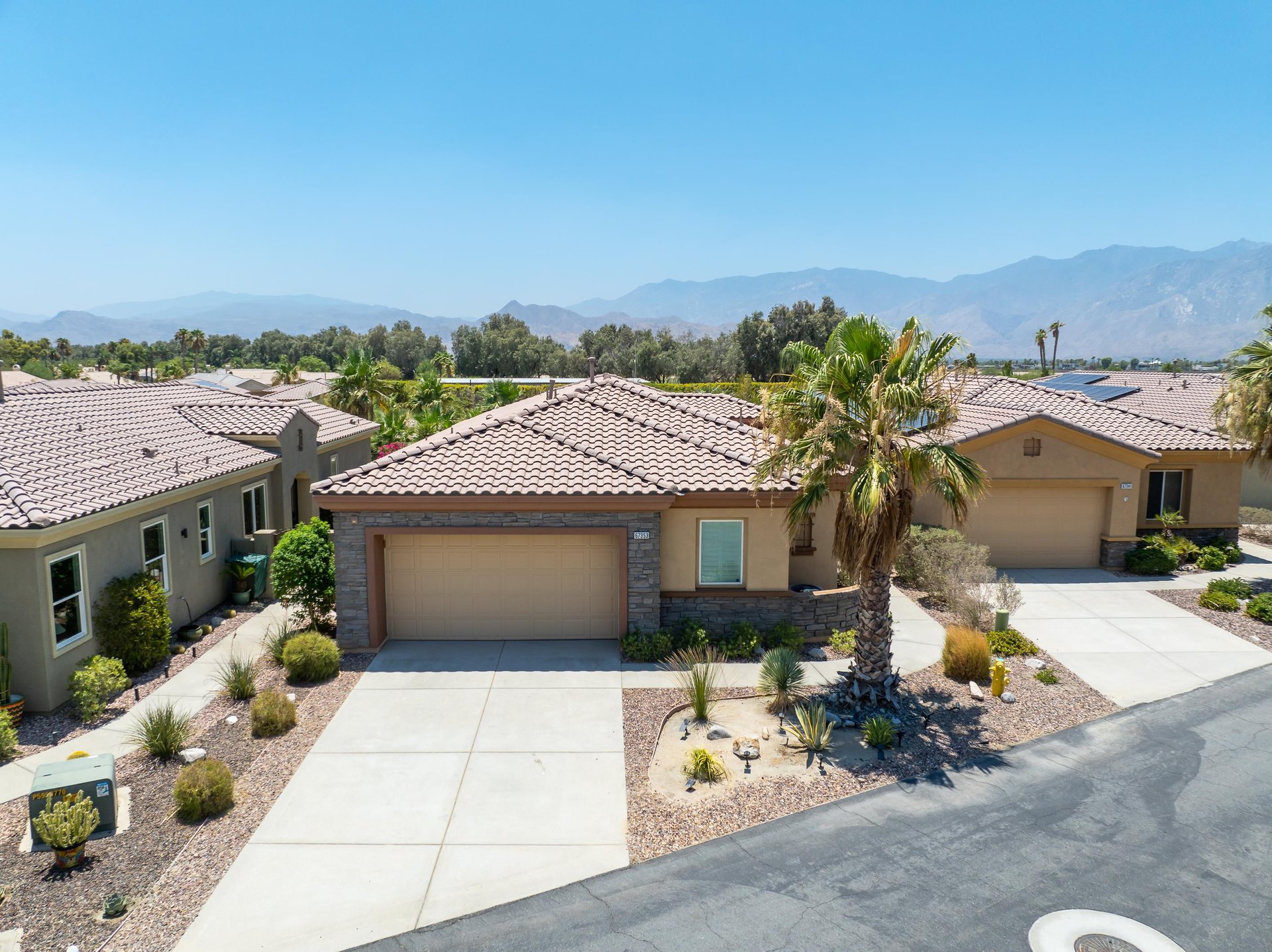 Welcome to Diamond Palms