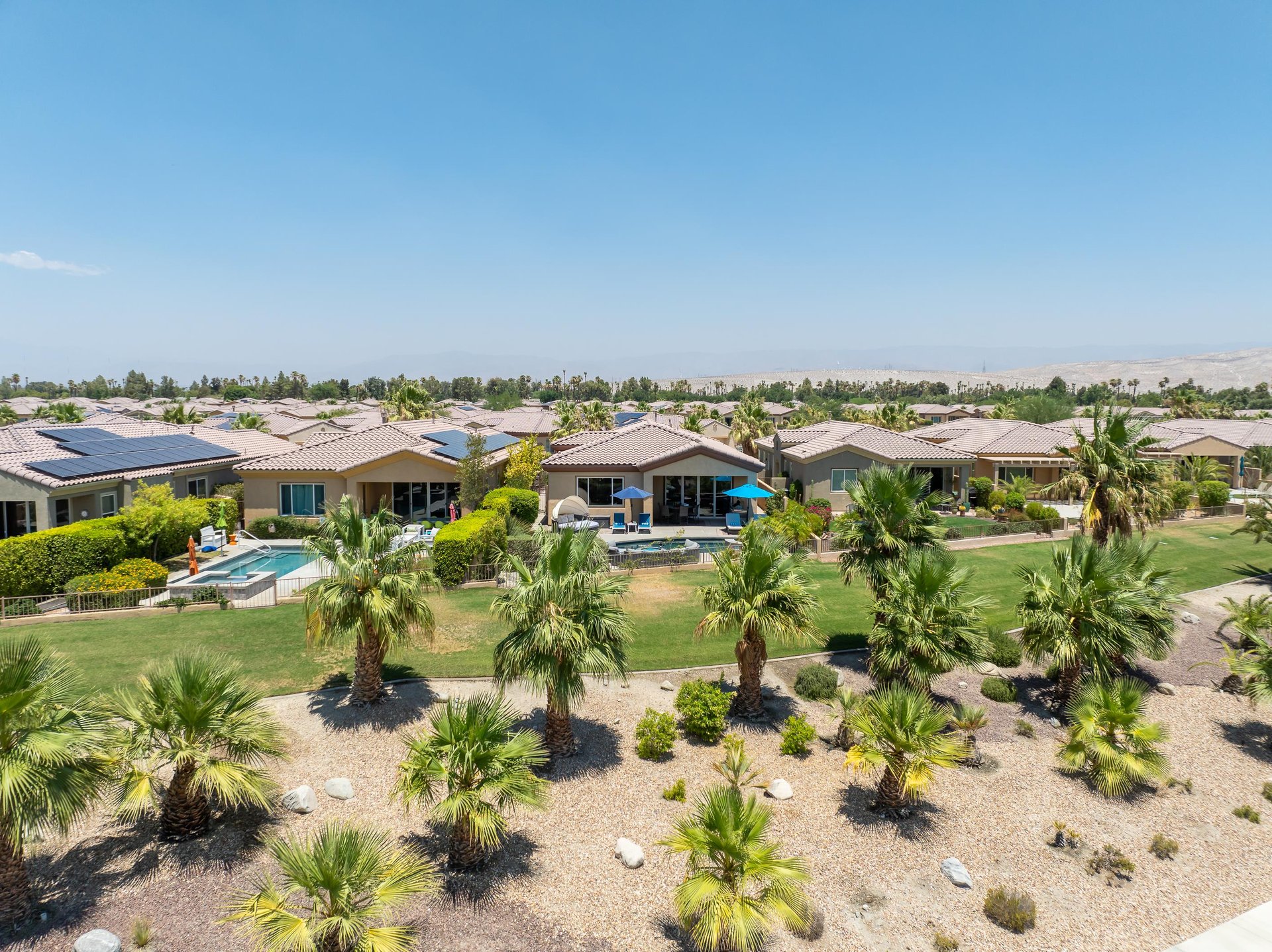 Welcome to Diamond Palms